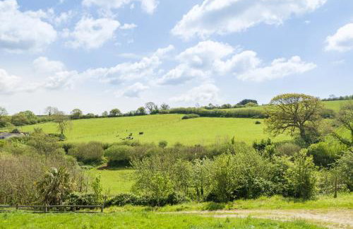 Pentire, Near Ivybridge, Devon - Foto 33