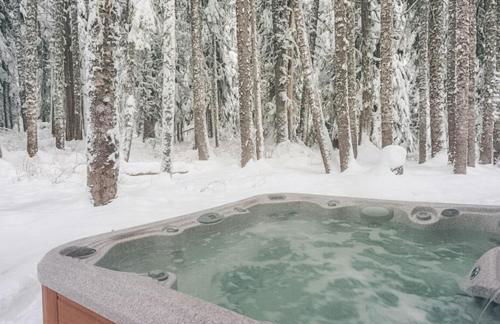 Chalet am Berg - Meredith Lodging - Foto 44