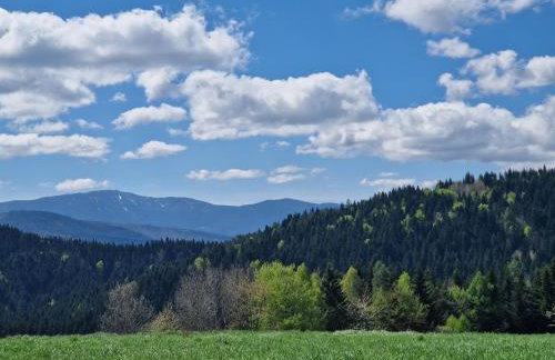 CzarnyHetman - Foto 18