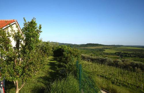 Villa Sofia - Foto 36