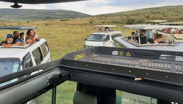 Safari privado de 6 días por Masái Mara, Amboseli y el lago Naivasha - Foto 5, Haciendo una parada para tomar fotografías