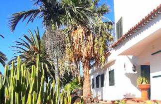 Los Fondos - Foto 15