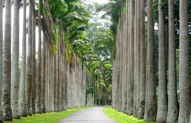 Explore Central Srilanka - Foto 26