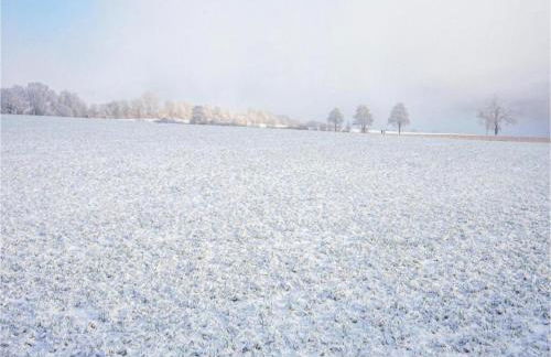 Wohnung in Densberg Nahe Kellerwald - Foto 76