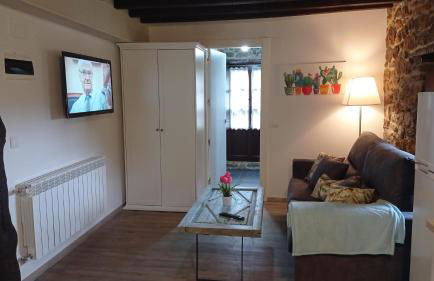 Apartamentos la casa de los ríos - Foto 57