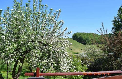 Agrowczasy u Bartka - Foto 3