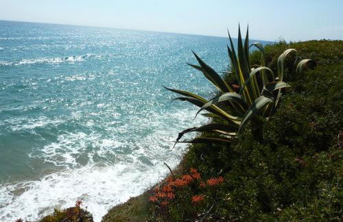 Jacqueline - Foto 43