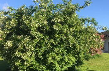 Paradiso sul lago - Foto 52