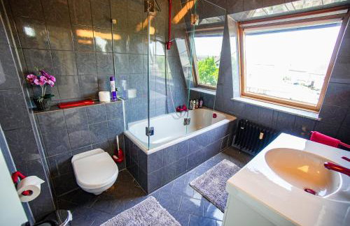 Schönes Studio in der Rheinebene, zentral gelegen - Foto 7