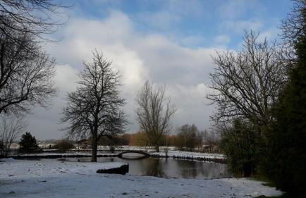 Austernfischer - Photo 9