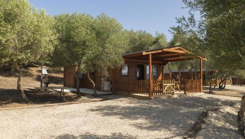 Finca Florida - Foto 4