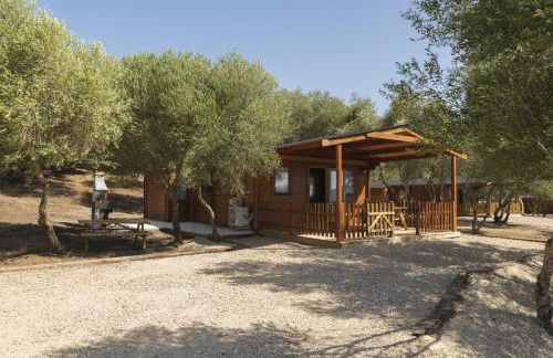 Finca Florida - Foto 4