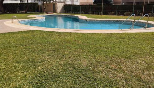 El buen sol de la manga - Foto 4, Garden