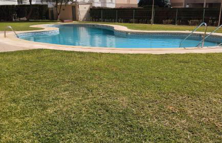 El buen sol de la manga - Foto 4