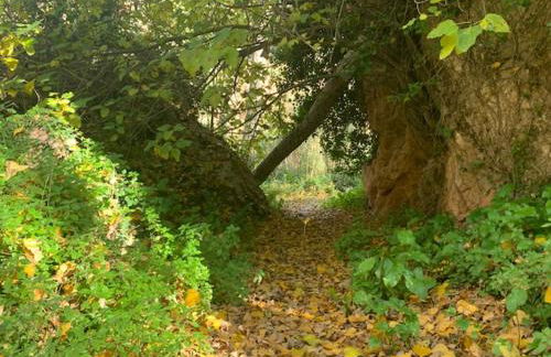 Casa rural la ermita de Anna - Foto 30