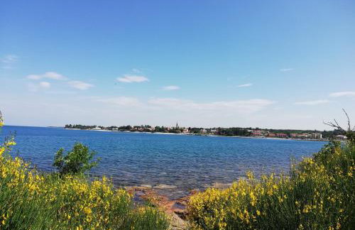 Apartments Oleander Lovrečica-residence with pool - Photo 73