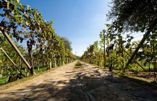 THE MONTEVECCHIA HOME - FRIDA APARTMENT - Foto 26