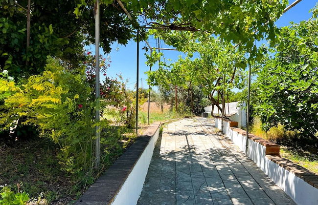 Unik Vacation La Noguera Rural Valls - Foto 48