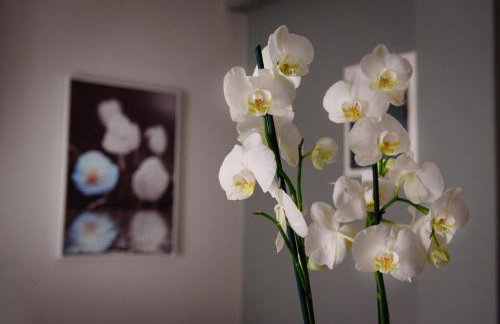 Haus Viktoria 2 - Photo 11