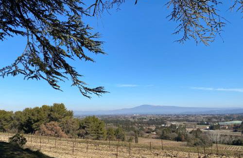 The Willow Tree - Photo 18