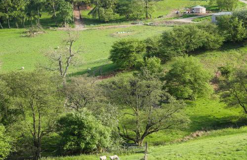 Rolling Hills - Foto 23