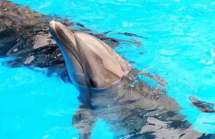 Vila Branca - Foto 38