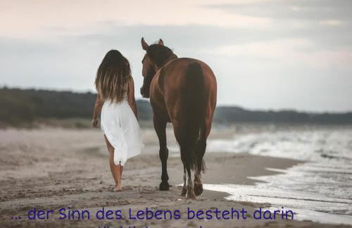 Ferienwohnung mit Terrasse - Insel Usedom - Foto 51