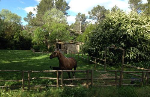 Cabane de la leque - Foto 18