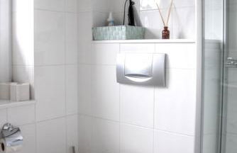 Dünengras - Foto 21