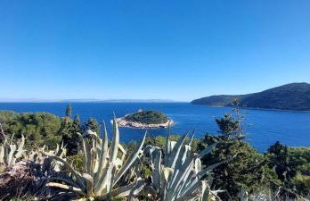 Brisa Vis Studio - Photo 27