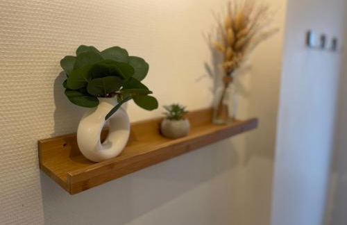 La Jungle de Tours - Photo 9