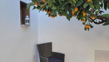 CASA DEGLI ARANCI, smart work wifi garden terrace - Foto 3, Garden