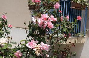 Appartampeppe - Foto 40