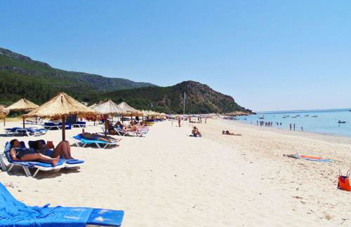 Moradia do Pinhal - Foto 57