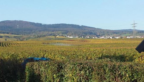 Ferienwohnung Weingut Leis - Foto 4