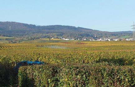 Ferienwohnung Weingut Leis - Foto 4