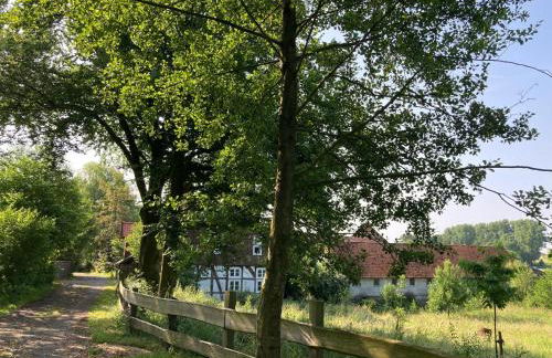 In der Wassermühle - Foto 22