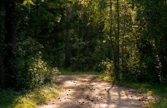 Zacisze Markowszczyzna - Foto 62