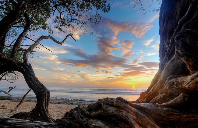 Classy artsy ocean-view unit near pool at Pacifico in Coco sleeps 6 - Foto 52