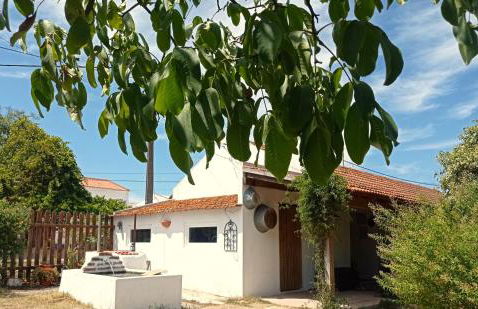 Monte das Andorinhas Alentejo - Foto 13