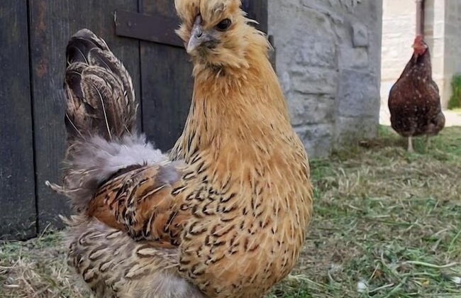 Agriturismo Campo Rosso - Foto 51