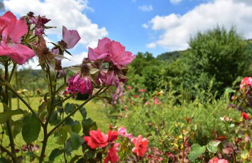 Modern holiday home in Crux-La-Ville with terrace - Foto 39