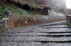 Il Vento e la Ginestra - Foto 22