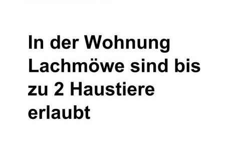 Apart Lachmöwe - Foto 6