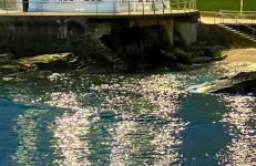 Number 14 Self Catering, Portrush, Northern Ireland - Foto 30