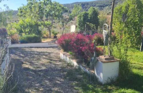 Finca La Boheme Monda - Foto 31