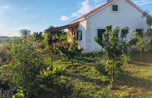 New Modern House in a Quiet Island Area w. Garden - Foto 30