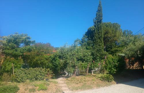 Casa Branchetti - Foto 17