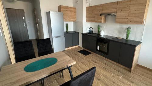 Apartament Dolina Baryczy - Foto 3