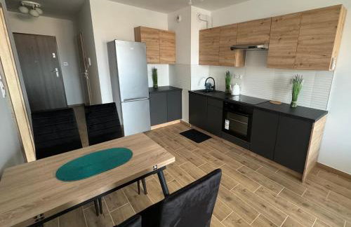 Apartament Dolina Baryczy - Foto 3